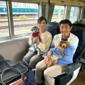 Du lịch Izu cùng cún cưng trên chuyến tàu Wanderful Train